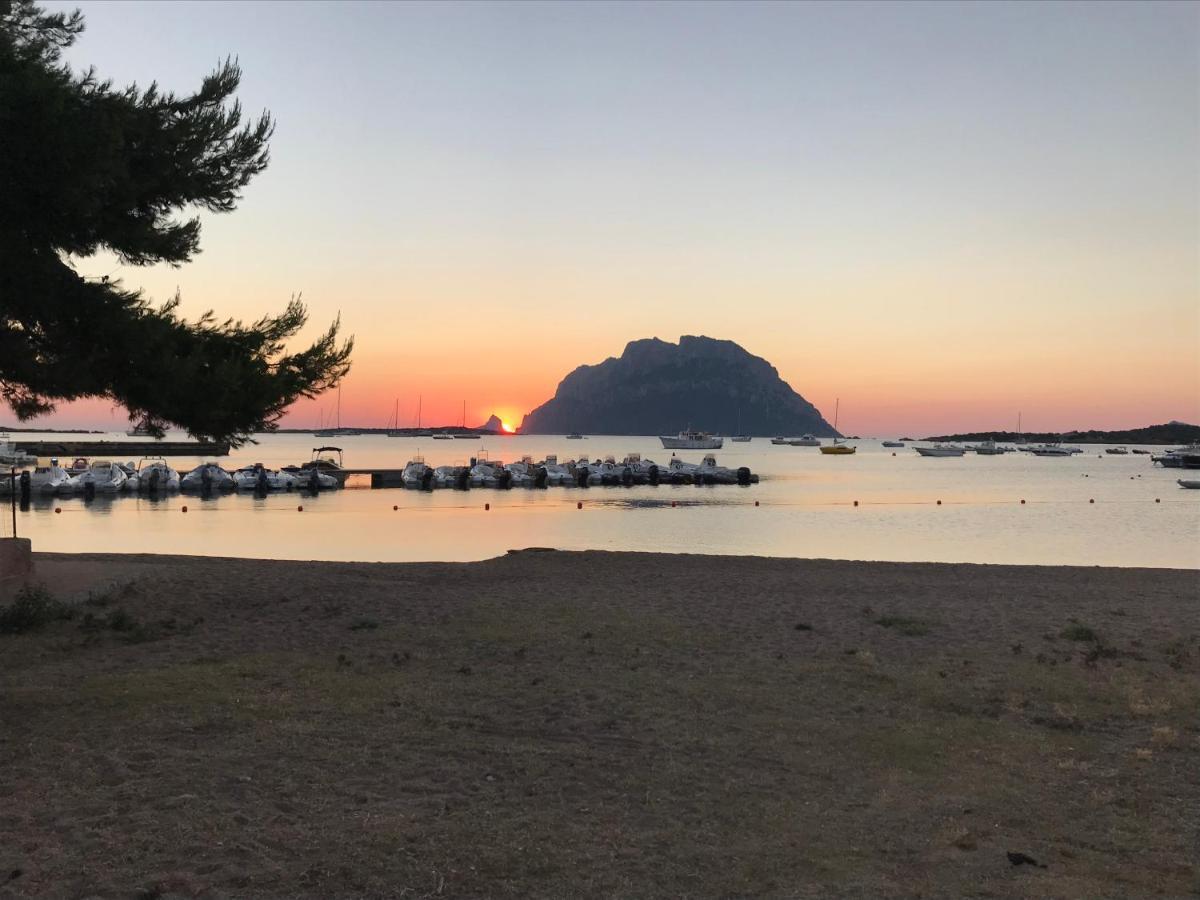 Incantevole Appartamento vicino a Tavolara Porto San Paolo  Esterno foto