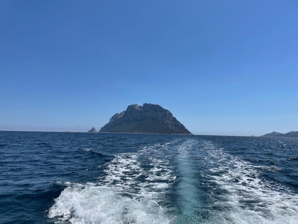 Incantevole Appartamento vicino a Tavolara Porto San Paolo  Esterno foto