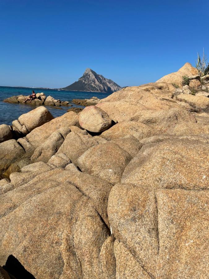 Incantevole Appartamento vicino a Tavolara Porto San Paolo  Esterno foto
