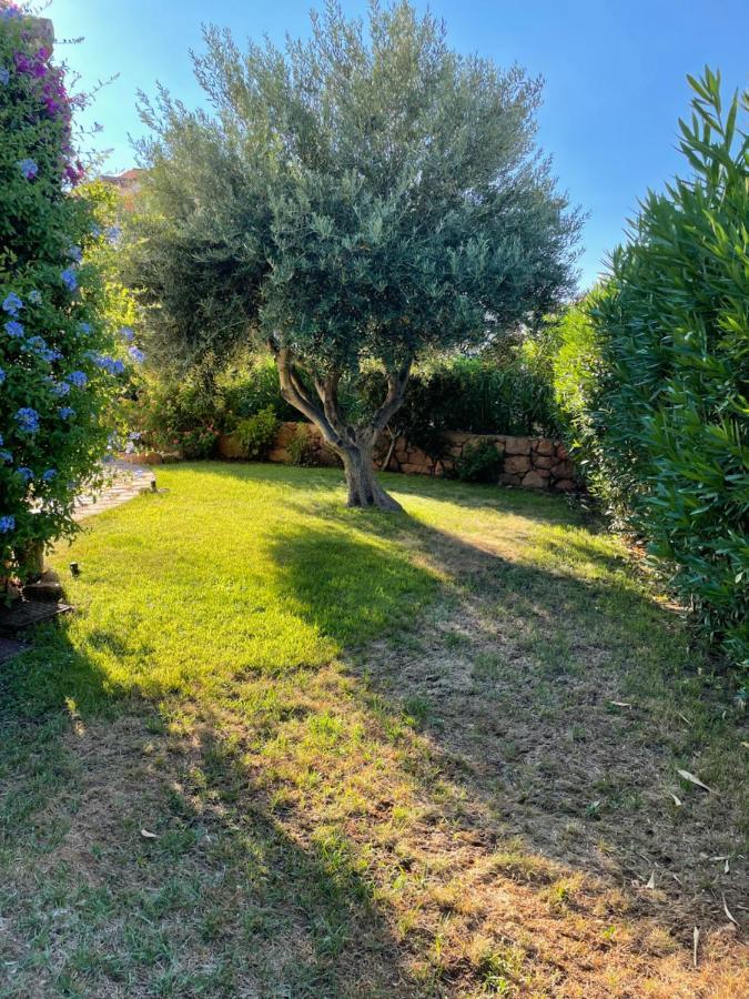 Incantevole Appartamento vicino a Tavolara Porto San Paolo  Esterno foto