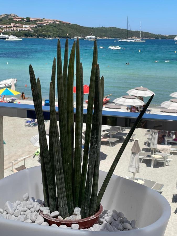 Incantevole Appartamento vicino a Tavolara Porto San Paolo  Esterno foto