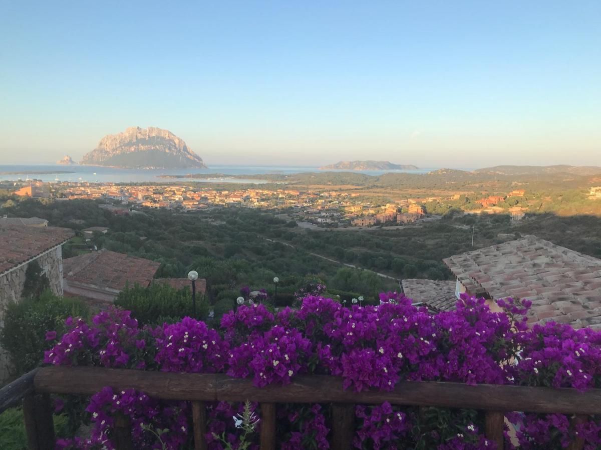Incantevole Appartamento vicino a Tavolara Porto San Paolo  Esterno foto