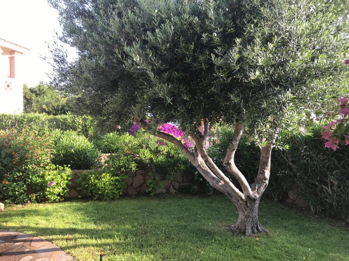 Incantevole Appartamento vicino a Tavolara Porto San Paolo  Esterno foto